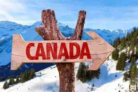 加拿大没有在职证明可以拒签吗