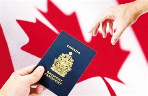加拿大签证代理哪家