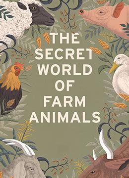 动物在农场的秘密生活