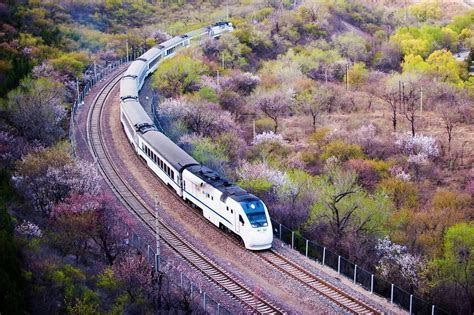 北京到泰山的火车有直达吗