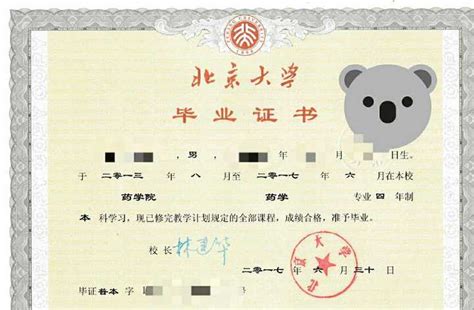 北京大学只有学位证吗