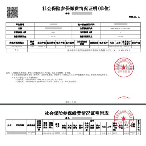 北京市社保和纳税证明是什么