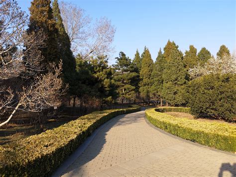 北京植物园坐多少路车