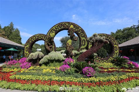 北京植物立体花坛多少钱