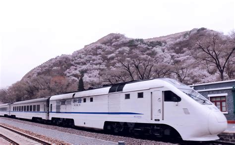 北京s2线开往春天的列车怎么购票