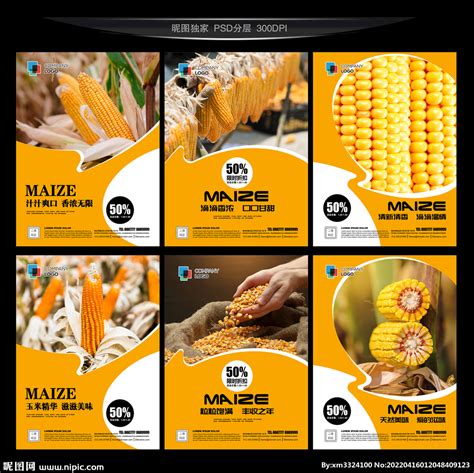 卖玉米种子广告模板