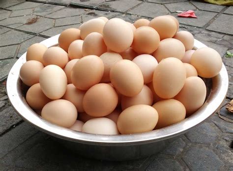 卖鸡蛋怎么给鸡蛋取名