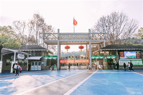 南京红山动物园门票价目表