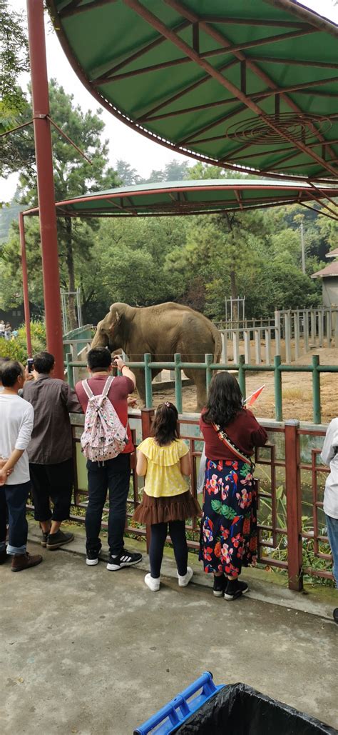 南京红山动物园门票多少钱一个人