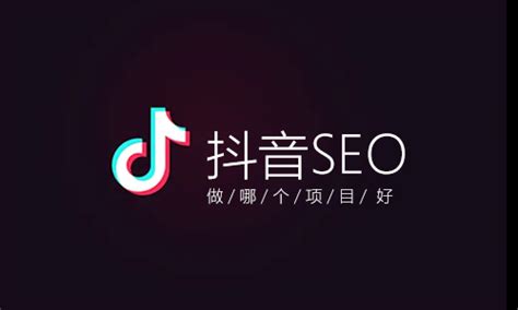 南方抖音seo项目