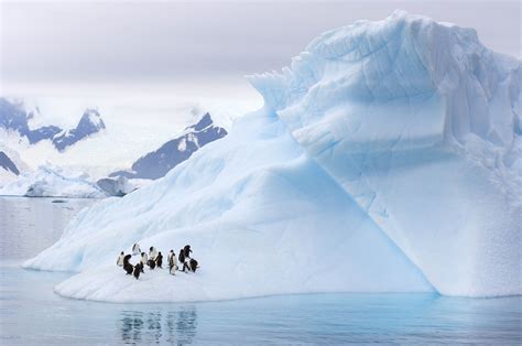 南极大陆在冰封前是否存在文明