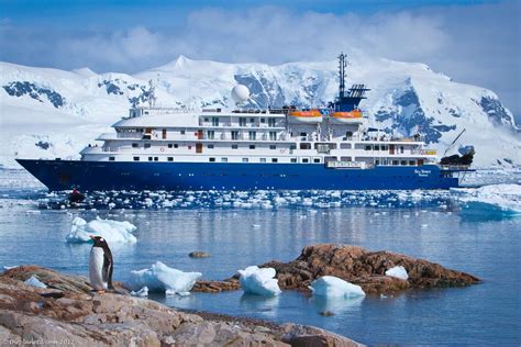 南极游轮旅游预订攻略