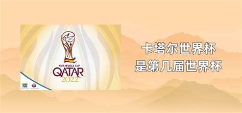 卡塔尔世界杯第几届