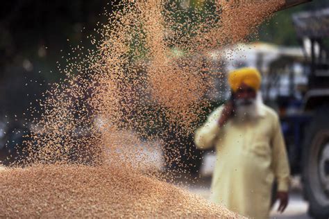 印度小麦出口量