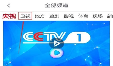 台湾卫视直播在线观看