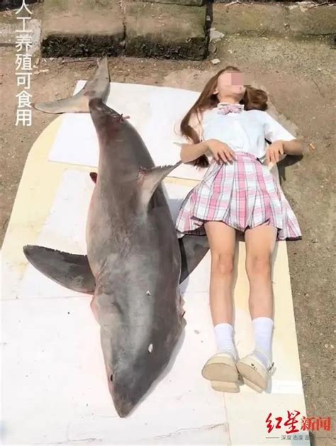 吃大白鲨网红或面临十年以上刑罚