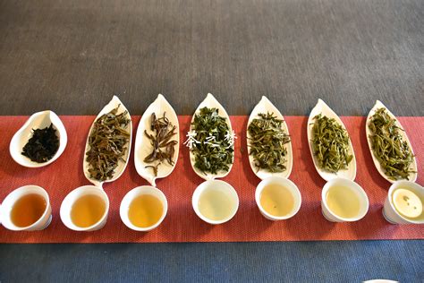 各类茶的养生功效与作用