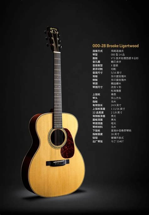 吉他中国网站