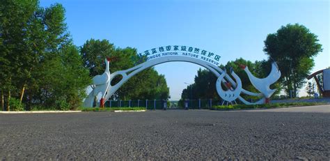 吉林省白城市政府网站