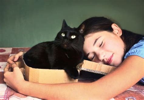 周公解梦梦见怀里抱着猫