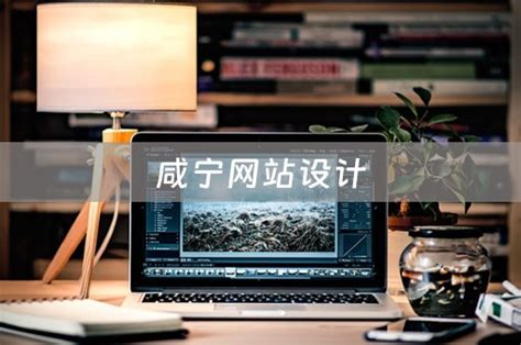 咸宁网站设计流程培训