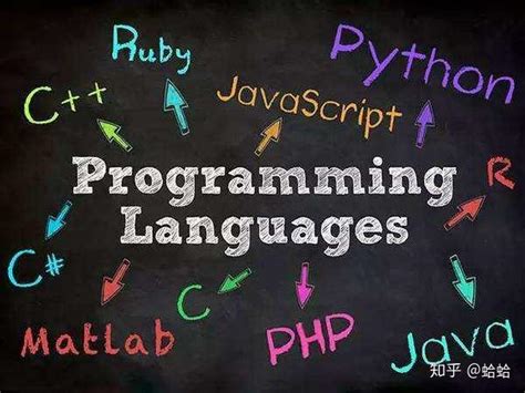 哪些编程语言是业余开发的