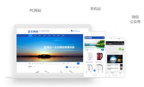 嘉兴网站推广天津公司电话