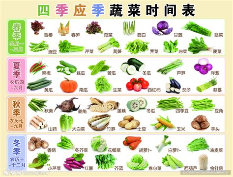 四川每月种植蔬菜时间