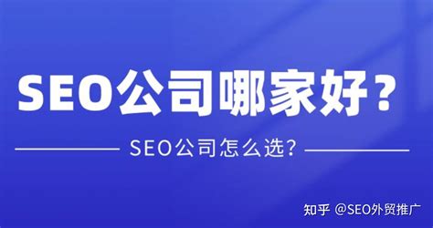 国内seo公司优化哪类网站比较好