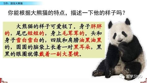 国宝大熊猫作文200字