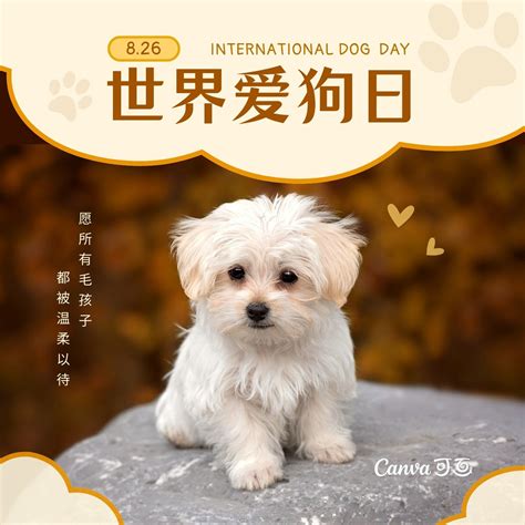 国际小狗日宣传图