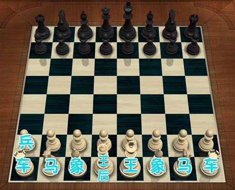 国际象棋的规则和走法和摆法