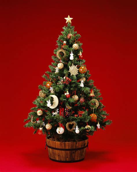 圣诞节的圣诞树怎么装饰
