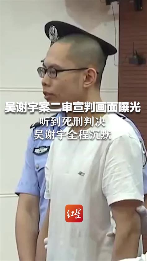 在法庭上吴谢宇说了点什么