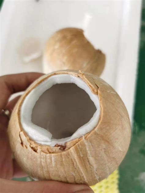 在超市买到变质椰子怎么办