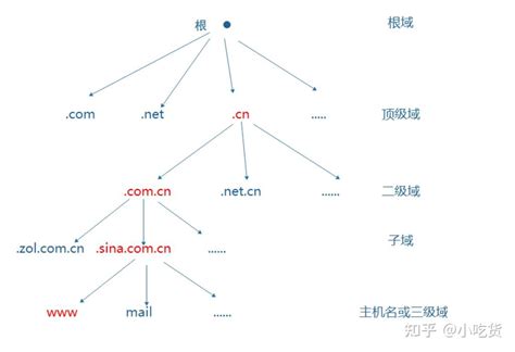 域名系统的典型结构