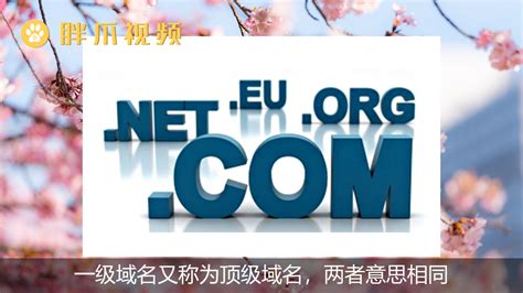 域名cn和com有什么区别