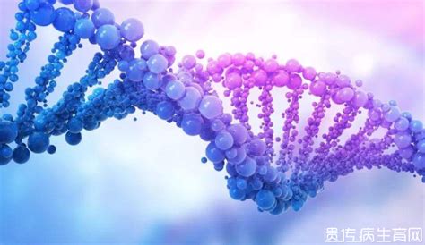 基因突变是什么原因引起的