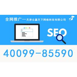 天津网站优化服务公司