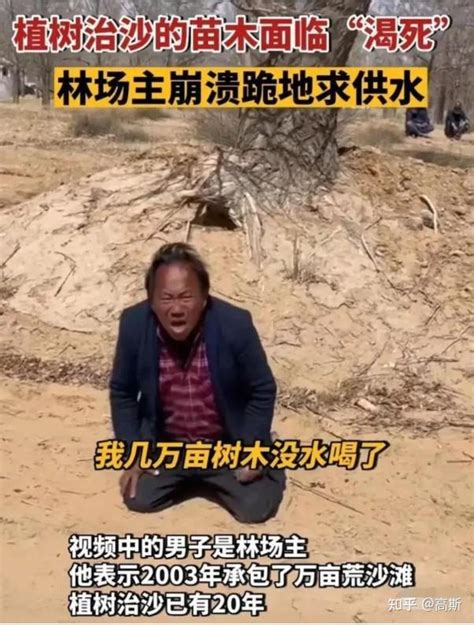央广网评万亩治沙林被断水文案