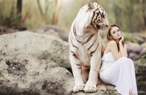 女人梦见老虎是好是坏