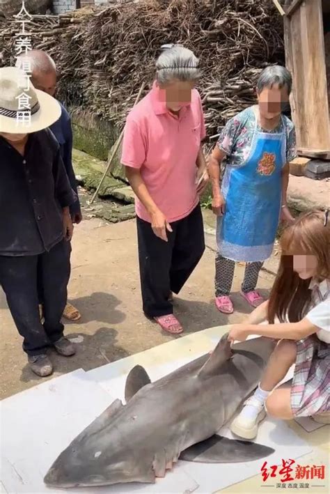 女子吃大白鲨被判刑后大哭