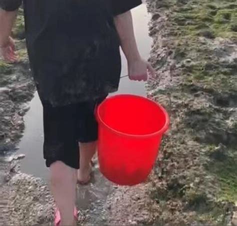 女子带孩子挖花蛤溺亡