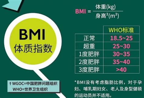 女性bmi指数标准表