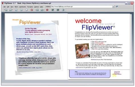 如何查看flipviewer的书