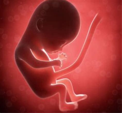孕18周胎儿缺氧的症状