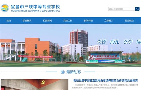 宜昌专业的网站建设排名