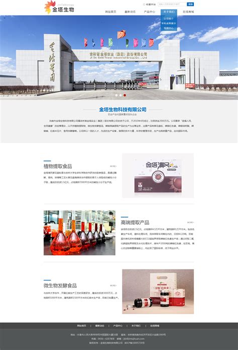 宜昌专业网站设计制作