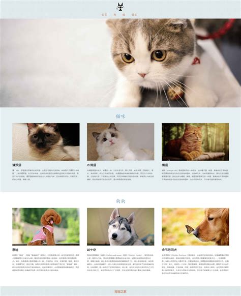 宠物网站设计代码模板