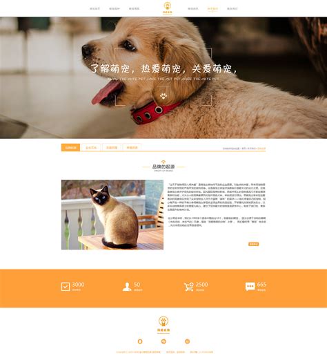 宠物网站设计模板